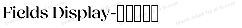 Fields Display字体转换